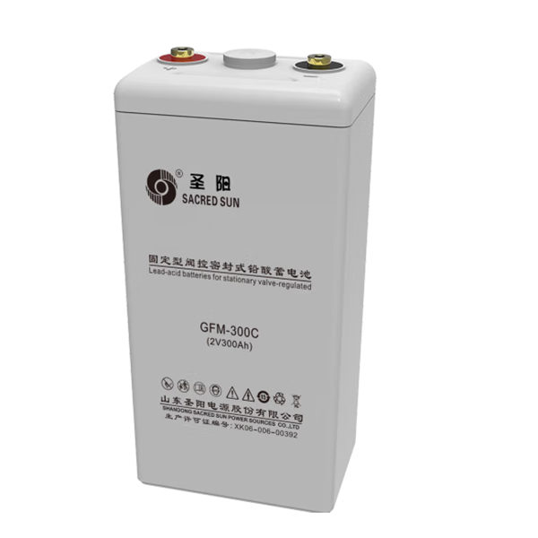 圣阳GFM-C系列